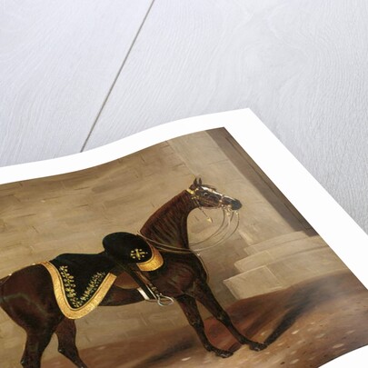 Copenhagen, the charger of the Duke of Wellington at Waterloo by Samuel Spode