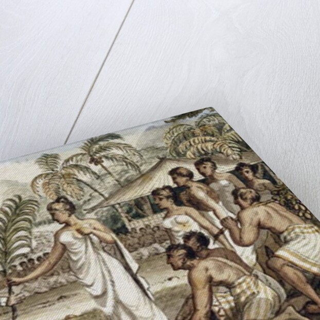 Oatehite by Isaac Robert Cruikshank