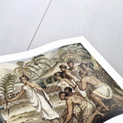 Oatehite by Isaac Robert Cruikshank