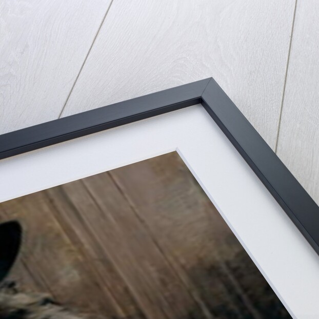 Portrait of the Marchesa Luisa Casati with a greyhound, 1908 by Giovanni Boldini