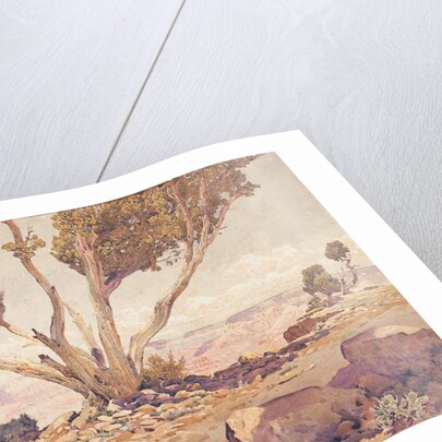 Grand Canyon, 1925 by Gunnar Widforss