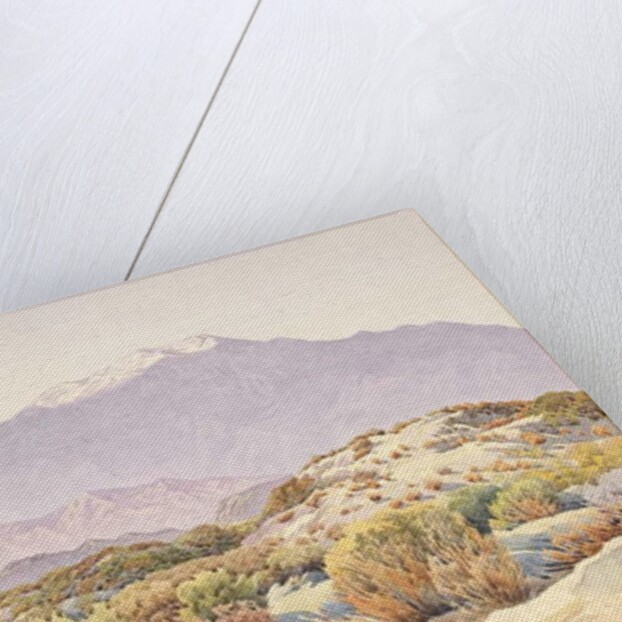 San Jacinto by Gunnar Widforss