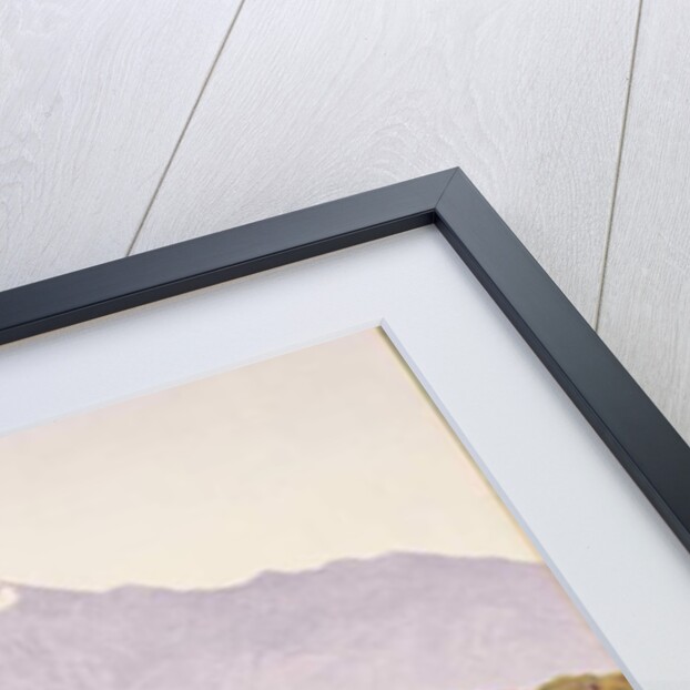 San Jacinto by Gunnar Widforss