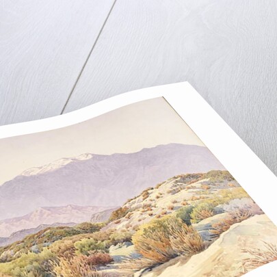 San Jacinto by Gunnar Widforss