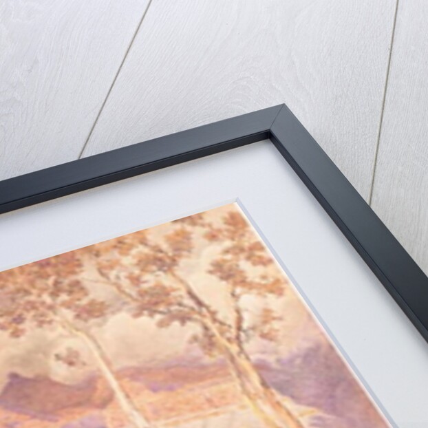 Grand Canyon, 1927 by Gunnar Widforss