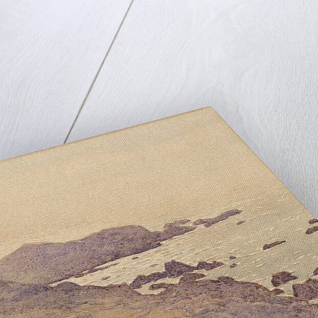 California Coast, 1923 by Gunnar Widforss