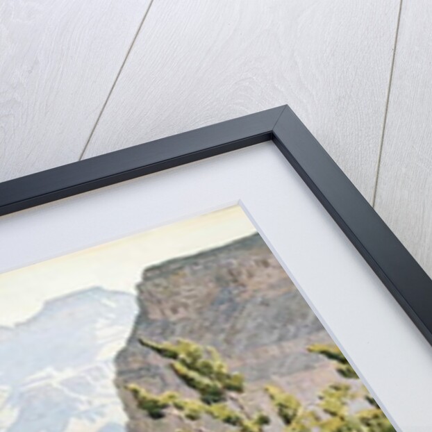 Grand Canyon by Gunnar Widforss