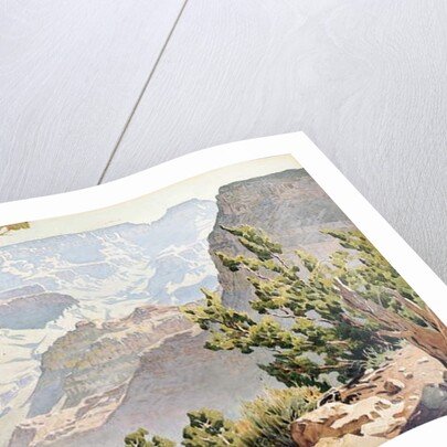 Grand Canyon by Gunnar Widforss