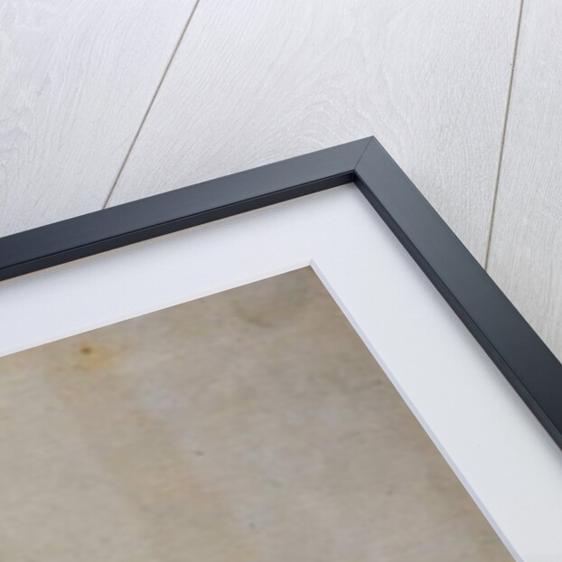 Jim Shaw, Delaware, 1843 by John Mix Stanley