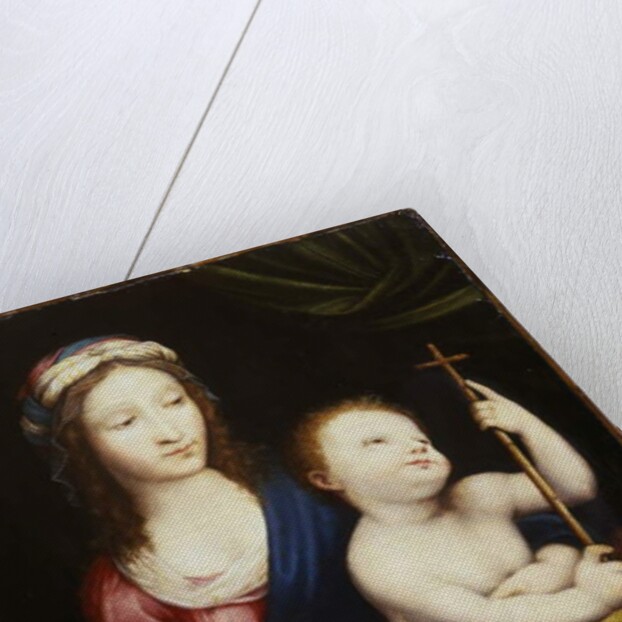 The Madonna and Child by Cornelis van Cleve