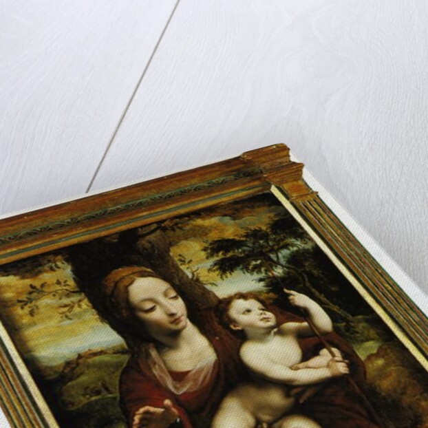 The Madonna and Child in a landscape by Cornelis van Cleve