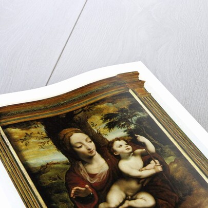 The Madonna and Child in a landscape by Cornelis van Cleve