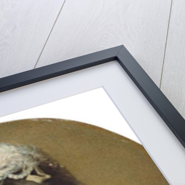 Portrait of Miss Harriet Hope by Joseph Wright of Derby