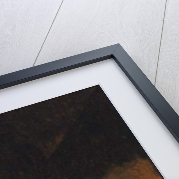 The Star of the Kings by Egbert van der Poel