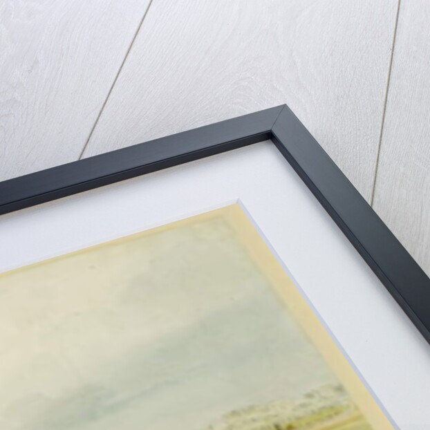 An Inexperienced Palanquin Rider, Tom Shaw Hiring a Palanquin on the Esplanade, Calcutta by Charles D'Oyly