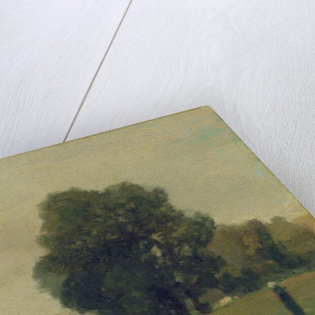 Prairies de La Roche-Guyon, 1859 by Camille Pissarro