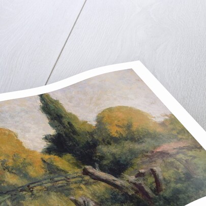 Rolleboise, Small Arm of the Seine in Autumn, c.1925 by Maximilien Luce