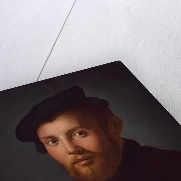 Portrait of a young man with a book by Agnolo di Cosimo Bronzino