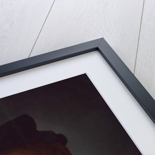 Portrait of a young man with a book by Agnolo di Cosimo Bronzino