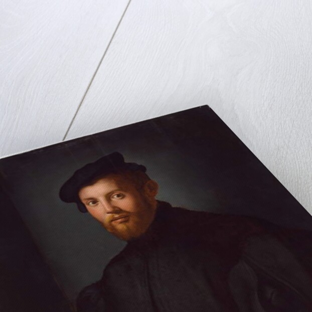 Portrait of a young man with a book by Agnolo di Cosimo Bronzino
