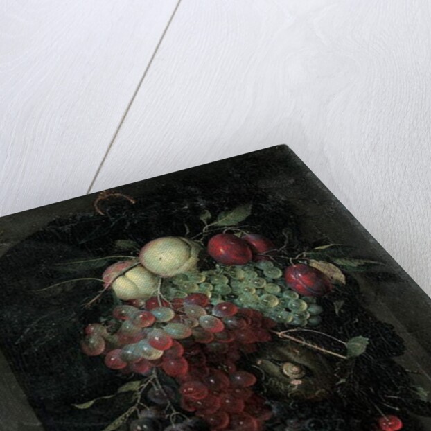 Swag of grapes, peaches, plums and cherries with a snail in a stone niche with a bunch of apricots and bee on a ledge, 1666 by Nicolaes Van Gelder