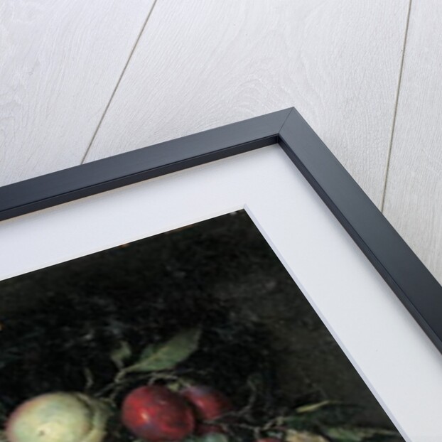 Swag of grapes, peaches, plums and cherries with a snail in a stone niche with a bunch of apricots and bee on a ledge, 1666 by Nicolaes Van Gelder