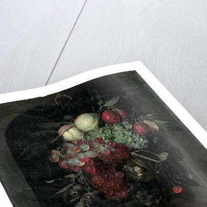 Swag of grapes, peaches, plums and cherries with a snail in a stone niche with a bunch of apricots and bee on a ledge, 1666 by Nicolaes Van Gelder