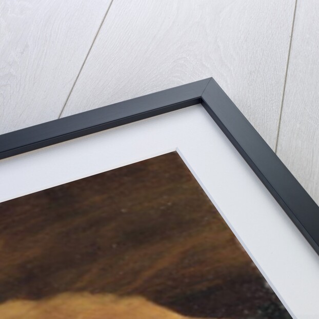 Study of the parrot fish, Samoa, 1890 by John La Farge or Lafarge