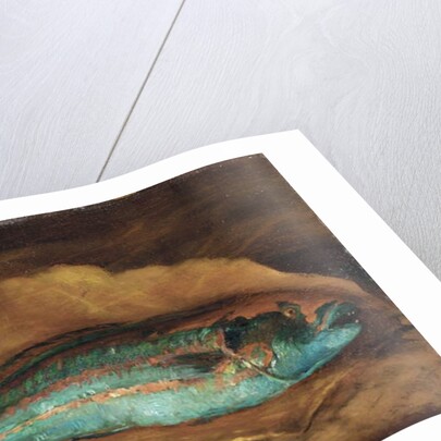 Study of the parrot fish, Samoa, 1890 by John La Farge or Lafarge