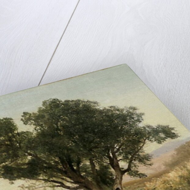 The Front Range, Colorado by John Frederick Kensett