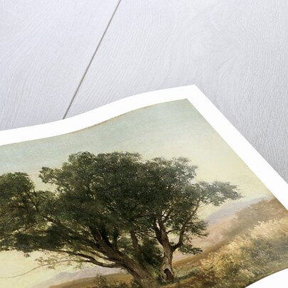 The Front Range, Colorado by John Frederick Kensett