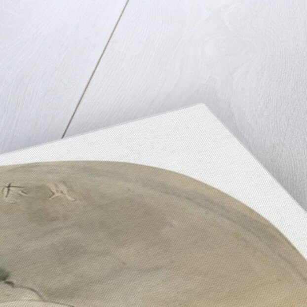 Ballet scene, c.1880 by Edgar Degas