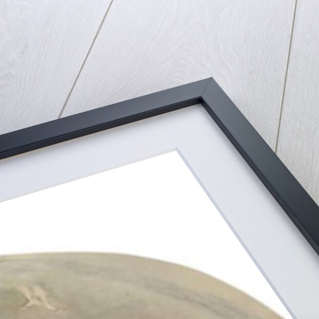 Ballet scene, c.1880 by Edgar Degas