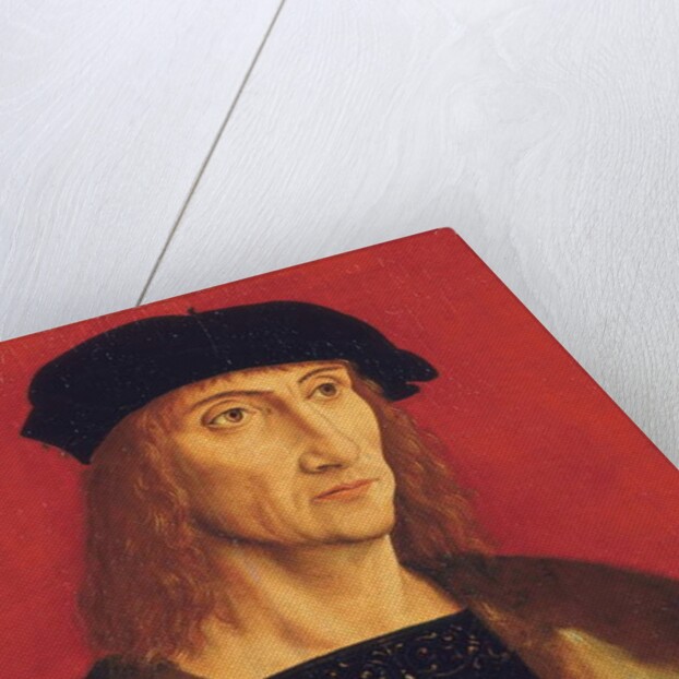 Portrait of a man wearing a fur-lined coat, gold chain and a black beret, before a red background by Jakob Elsner