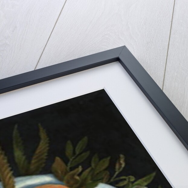 Reversible anthropomorphic portrait of a man composed of fruit by Giuseppe Arcimboldo