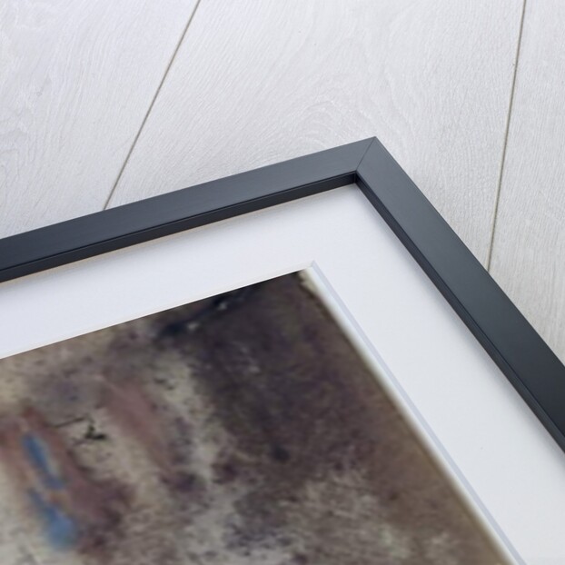 The Red Robe by William Blamire Young