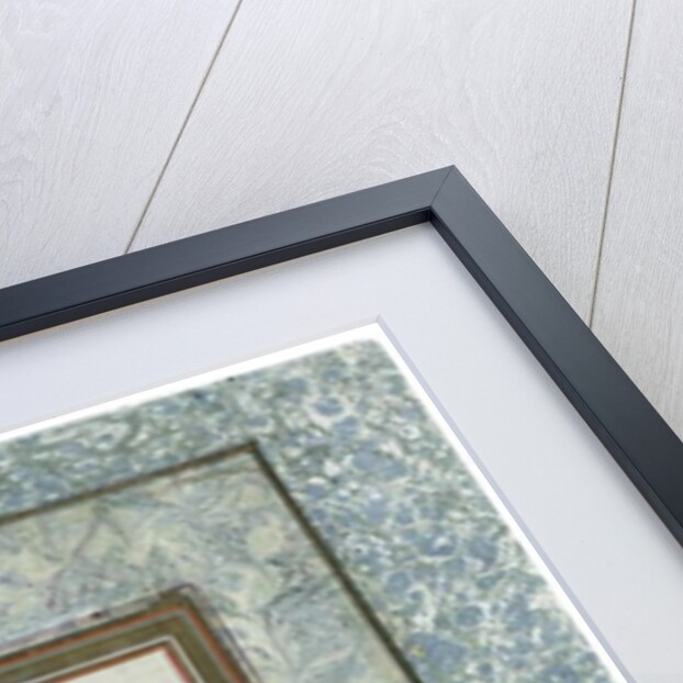 Page from the Turkish Tulip album, Istanbul, 1725 by Turkish School