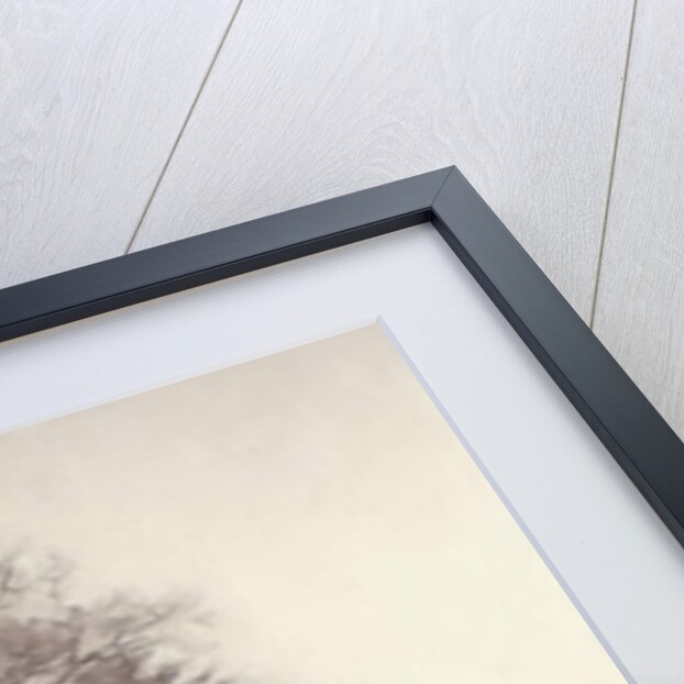 Promenade on a Winter Day, Brussels, 1887 by Frans Gaillard