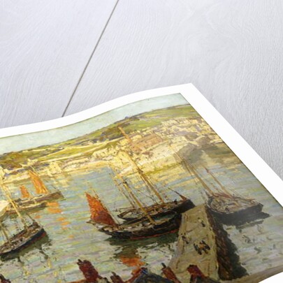 Brixham Harbour by Terrick Williams