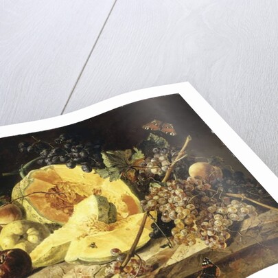 A Still Life with fruit, nuts and insects, 1835 by Leopold Zinnogger