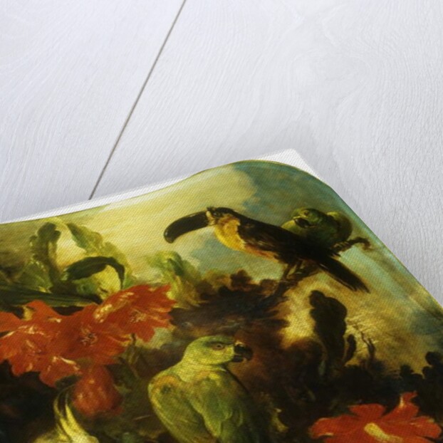 Exotic Birds and Flowers, 1893 by Ludwig Adam Kunz