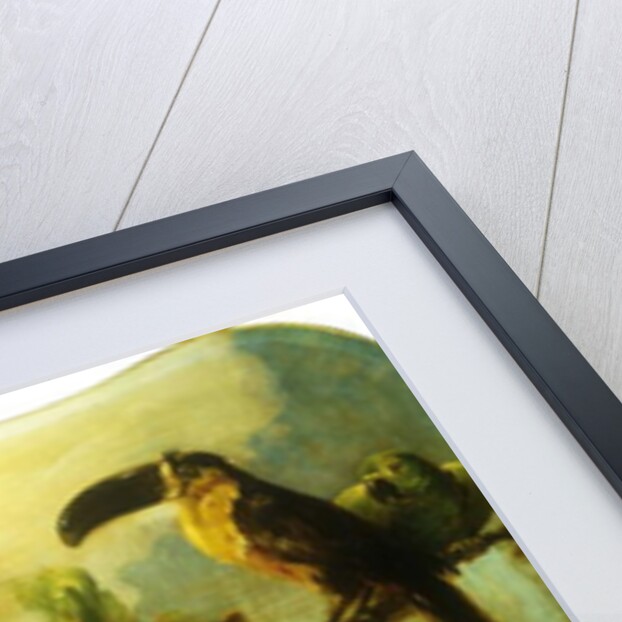 Exotic Birds and Flowers, 1893 by Ludwig Adam Kunz