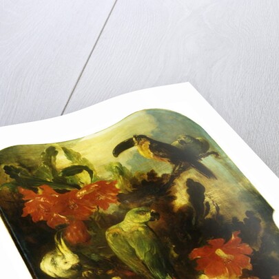 Exotic Birds and Flowers, 1893 by Ludwig Adam Kunz