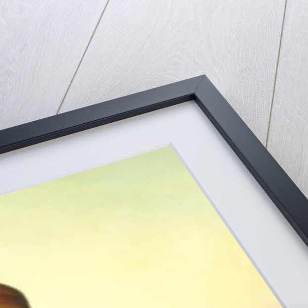 The Bedouin Boy, 1851 by German School