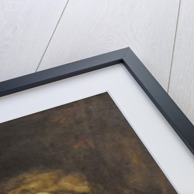 Portrait of the Hon. Mary Wyndham Bouverie by Thomas Stewart