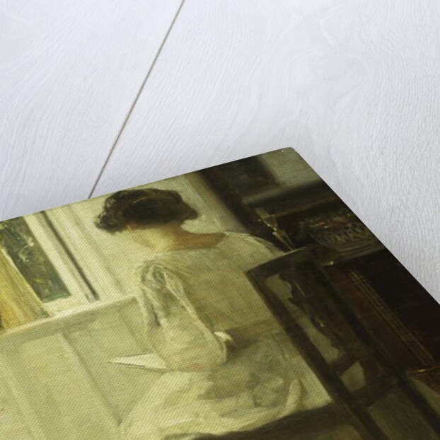 A Woman Reading in a Sunlit Interior by Carl Holsoe