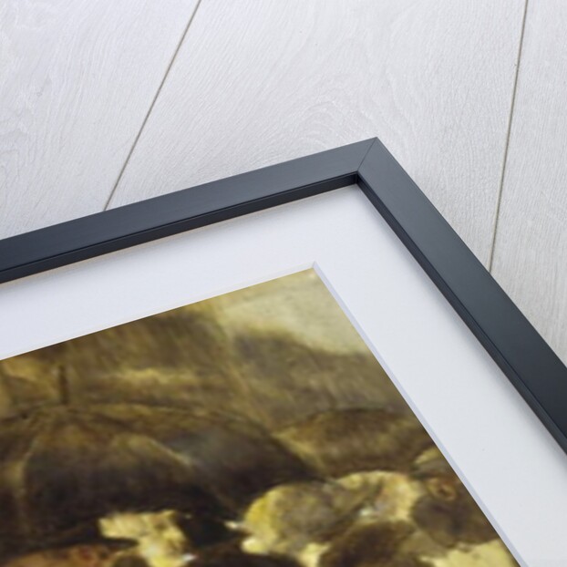 Fascination by Albert Guillaume