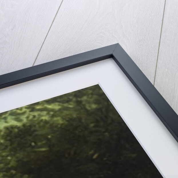 A Day in the Park, 1875 by Auguste de Molins