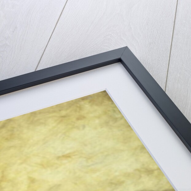 Study of a Draped Nude by William Etty