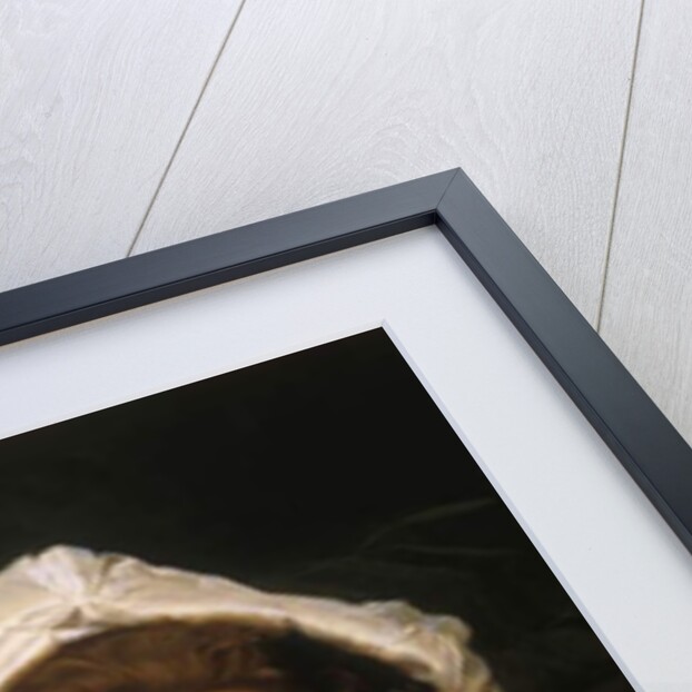 Portrait of an Elegant Lady in a Red Velvet Dress by Gustave Jacquet